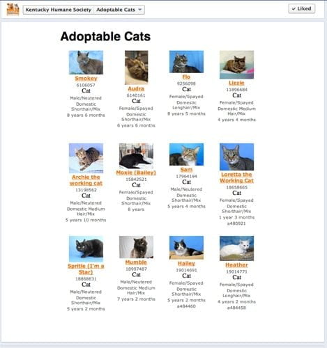 custom facebook tab