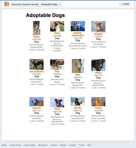 Custom Facebook Tab