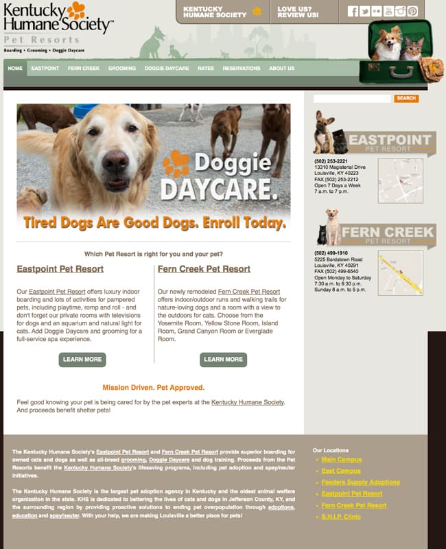 Website Design