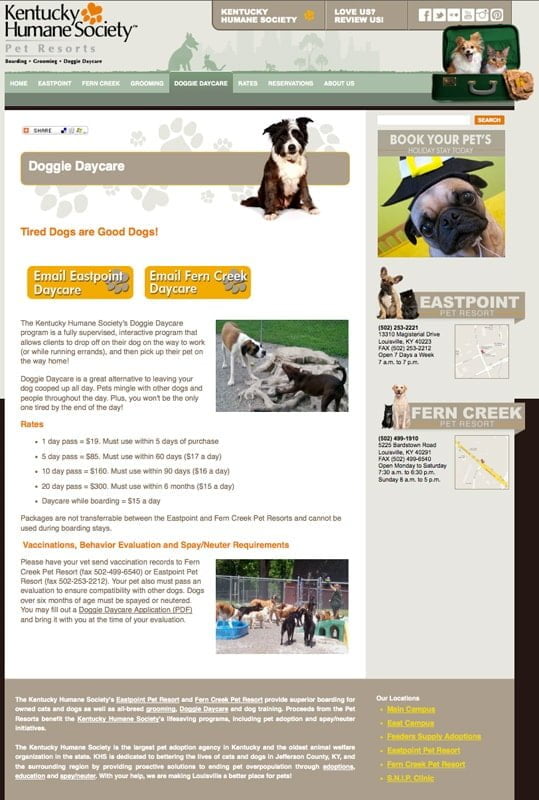 Website Design