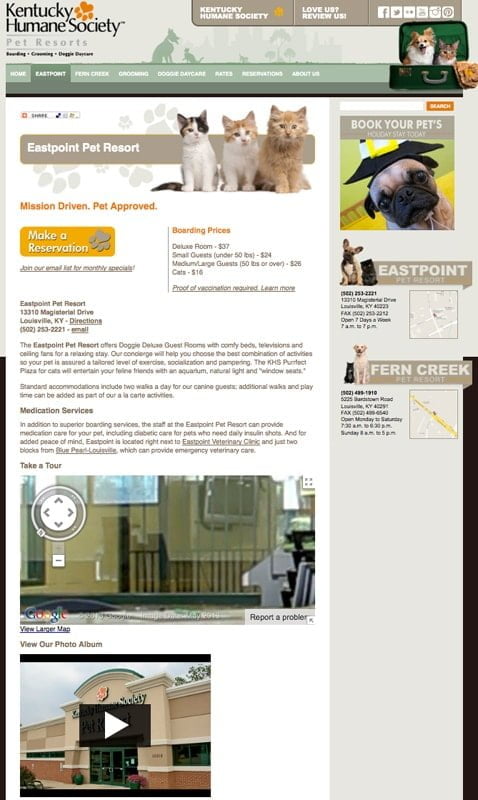 Website Design