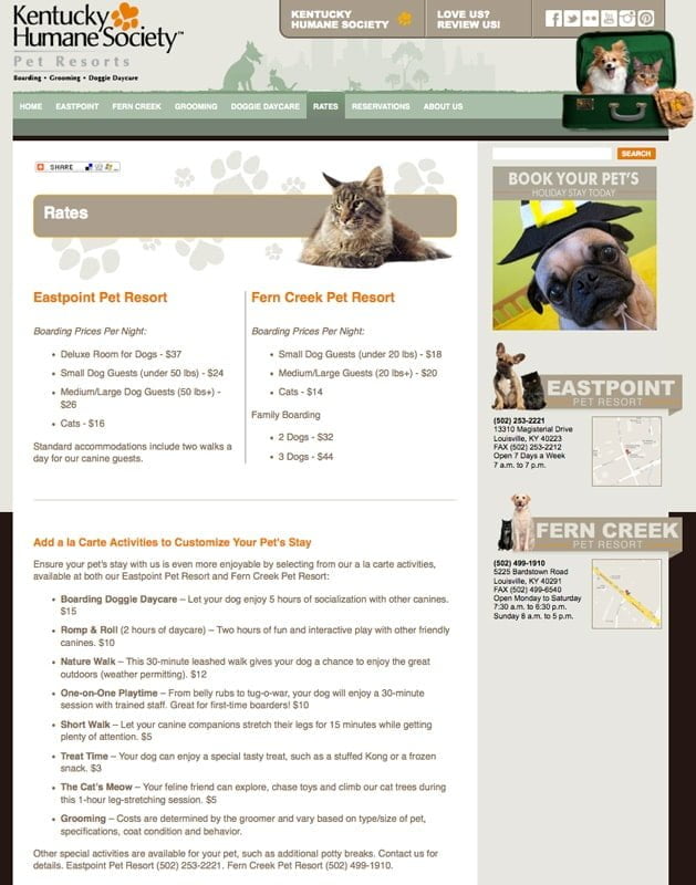 Website Design