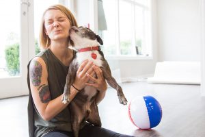 Dog Day at Mediaura